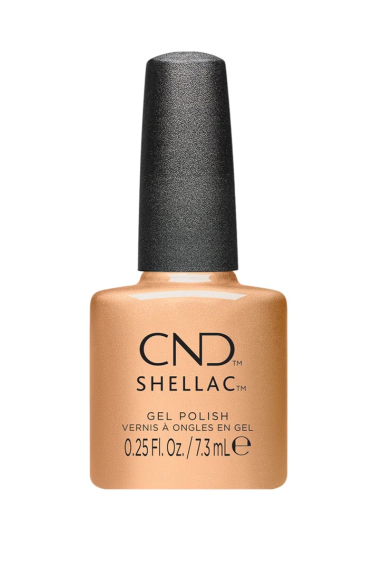 Shellac Its Getting Golder �� �'� ���������� ���� ��� - ������ �����