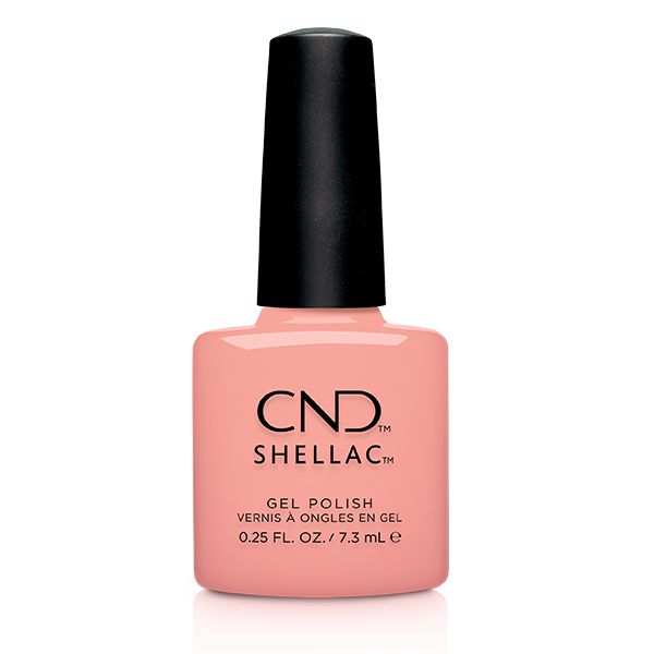 Shellac Sunrise Energy �� �'� ���������� ���� ���� ����� ��� ����