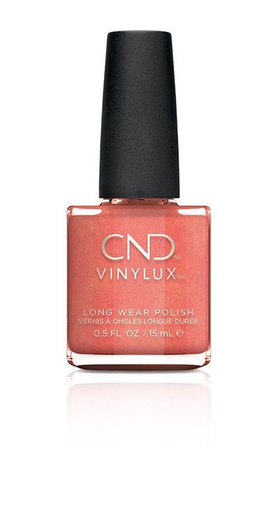 VLX Rose Bud �� ���� ���� ���� ����