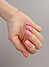 Plexigel Builder Clearly Pink ������'� ����� ���� ���� �����