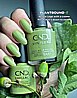 Shellac Plantbound לק ג'ל היפואלרגני בצבע מרווה צהובה