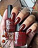 Shellac Take Root �� �'� ���������� ���� �����