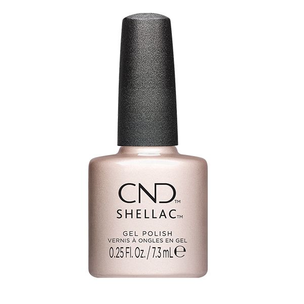 Shellac Day To Knight �� �'� ���������� ���� ���� ����