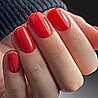 Shellac Mambo Beat �� �`� ���������� ���� ���� ���� ����  12.5ml
