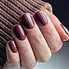 Shellac Arrowhead �� �`� ���������� ���� ��� ����� ���� 12.5ml