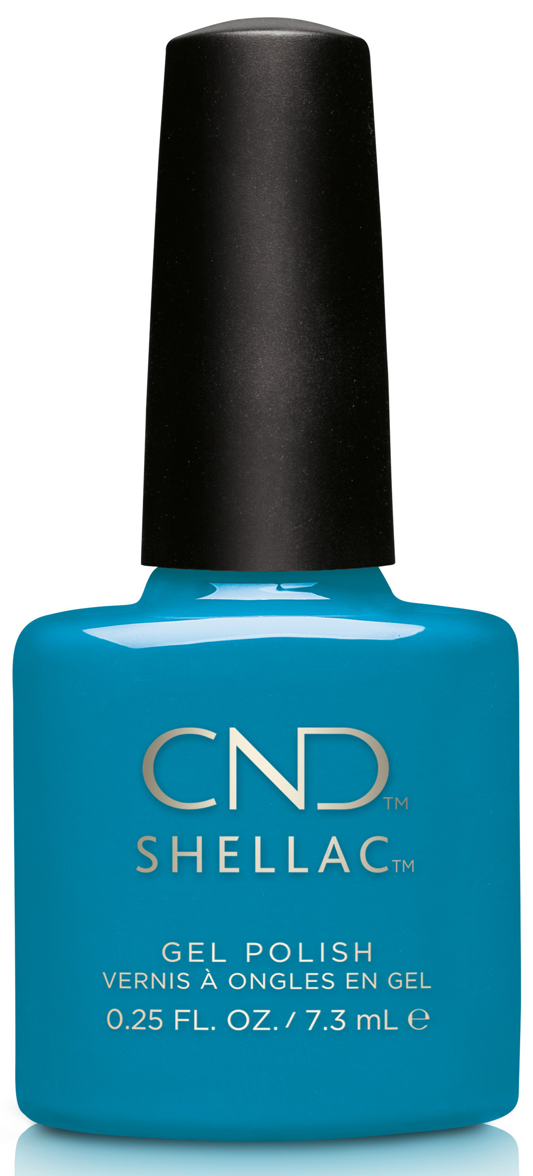 �� �'� ���� ���� �� ����� ���� - ���� - Shellac Cerulean Sea