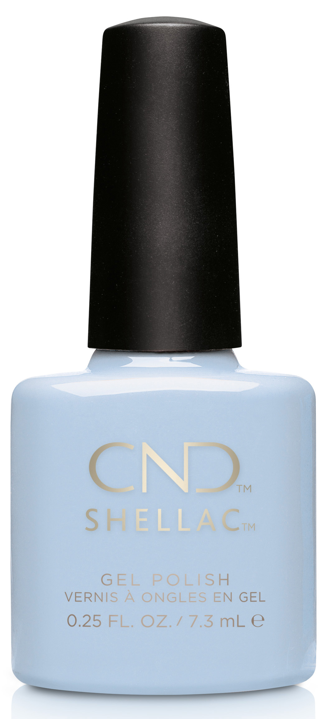 �� �'� ���� ���� ����� - ���� - Shellac Creekside