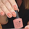 �� �'� ���������� ������ ���� �������� ������ ���� ��� ���� - ���� - Shellac Clay Canyon