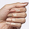 Shellac Clay Canyon-�� �'� ���������� ������ ���� �������� ������ ���� ��� ���� - ����