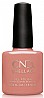 �� �'� ���� ��� ���� - ���� - Shellac Clay Canyon