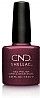 �� �'� ���� ���� ����� - ���� - Shellac Masqurade
