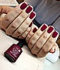 Shellac Tinted Love �� �'� ���������� ���� ������ ����
