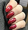 Shellac Hollywood �� �'� ���������� ���� ���� �� ���� ��� ����
