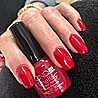 �� �'� ���������� ���� ���� ��� - ���� - Shellac Rose Brocade