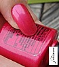 �� �'� ���������� ���� ���� ����� ����� - ���� - Shellac Hot Chilis