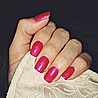 �� �'� ���������� ���� ���� ����� ����� - ���� - Shellac Hot Chilis