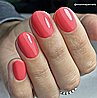 Shellac Tropix -�� �'� ���������� ���� ���� ���� ����