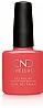 �� �'� ���� ���� ����� ���� - ���� - Shellac Tropix
