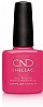�� �'� ���� ���� ������ - ���� - Shellac Pink Bikini