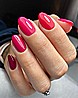 Shellac Pink Bikini-�� �'� ���������� ���� ���� ������ - ����