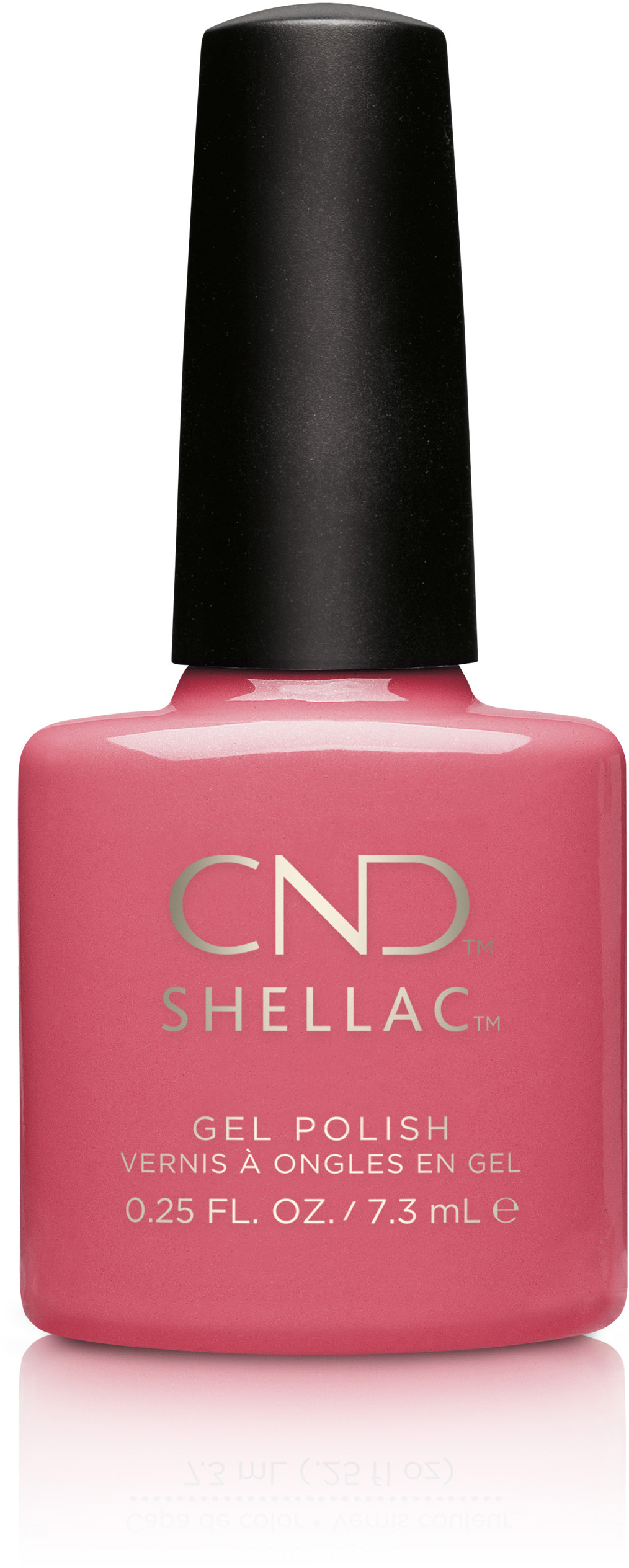 �� �'� ���� ���� ���� - ���� - Shellac Rose Bud