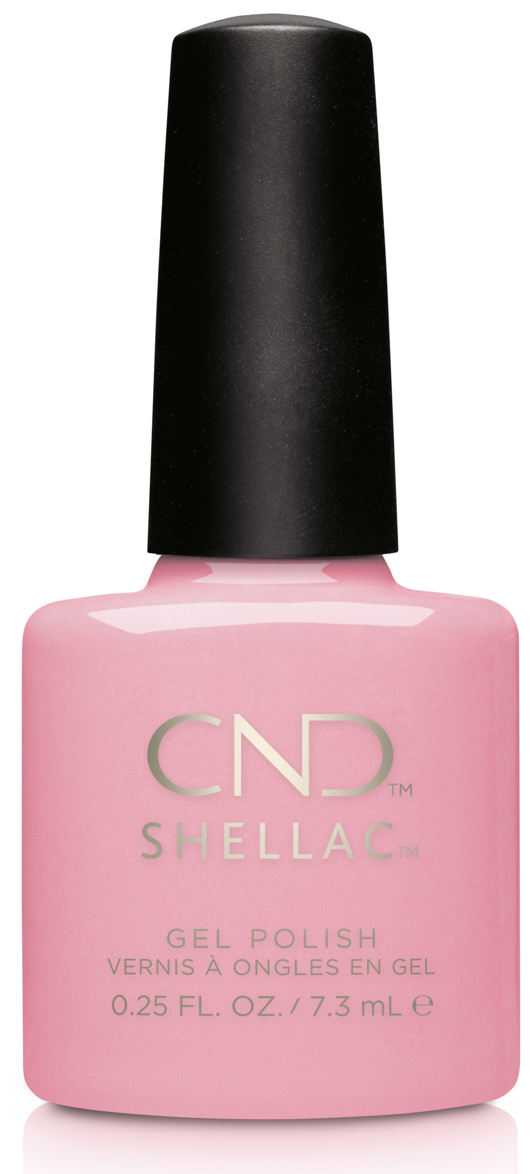 Shellac Blush Teddy-�� �'� ���������� ���� ���� ����� ����� ����