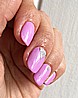 �� �'� ���������� ������ ���� �������� ������ ���� ���� ���� ����� - Shellac Beckoning Begonia