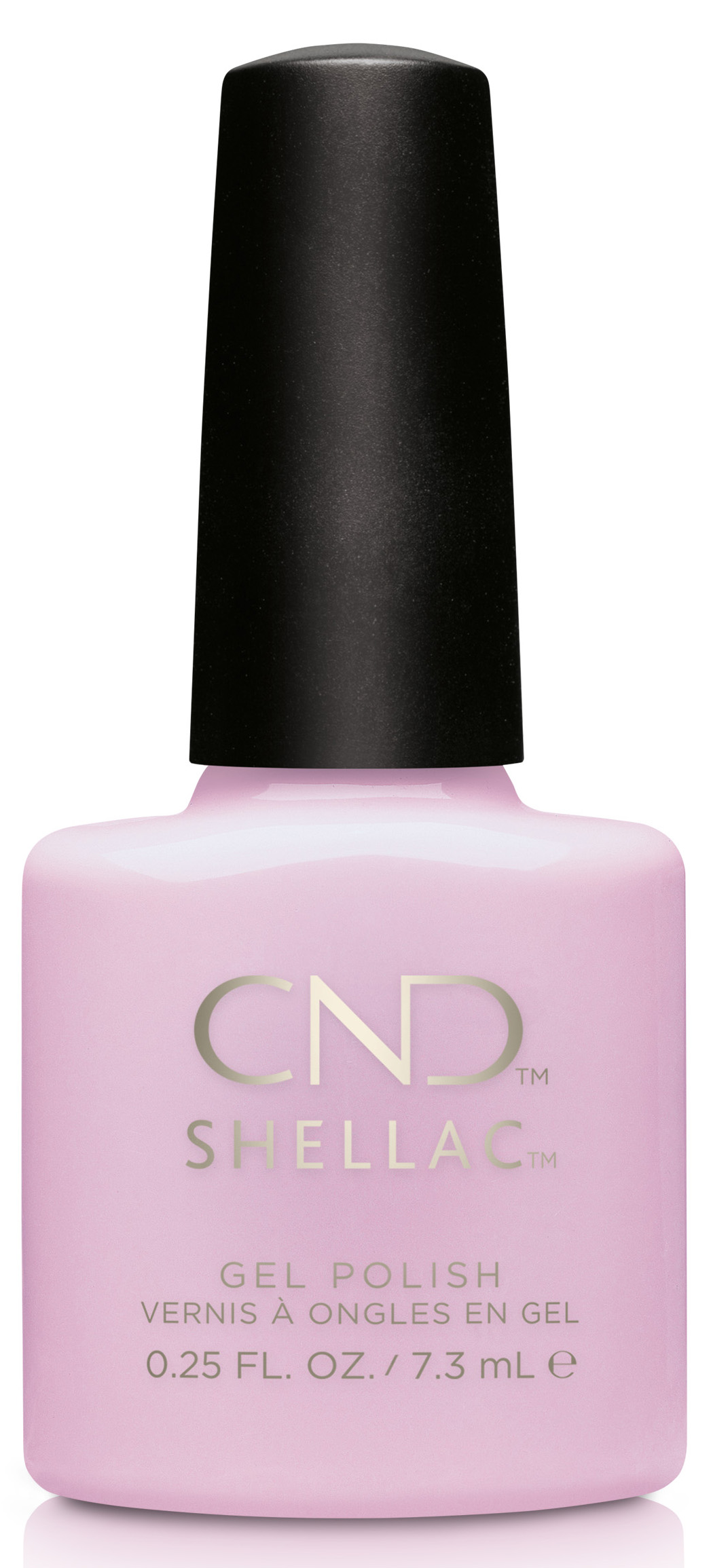 �� ���� ���� ���� - ���� - Shellac Cake Pop