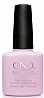 �� ���� ���� ���� - ���� - Shellac Cake Pop