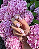  Shellac Cake Pop 7.3ml-�� ���������� ���� ���� ���� - ����