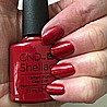 �� �'� ���������� ������ ���� �������� ������ ���� ���� ���� �� ������ ���� - ���� - Shellac Tartan Punk