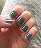 �� ���� ���� ���� - ���� - Vinylux Art Basil