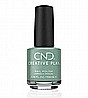 �� ���� ���� ���� ������ ���� - 429 My-Mo Mint