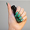�� ���� ���� ���� ������ ���� - 429 My-Mo Mint