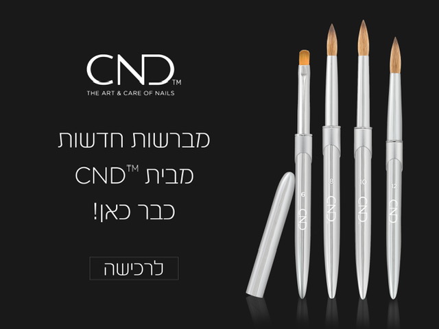 brushes