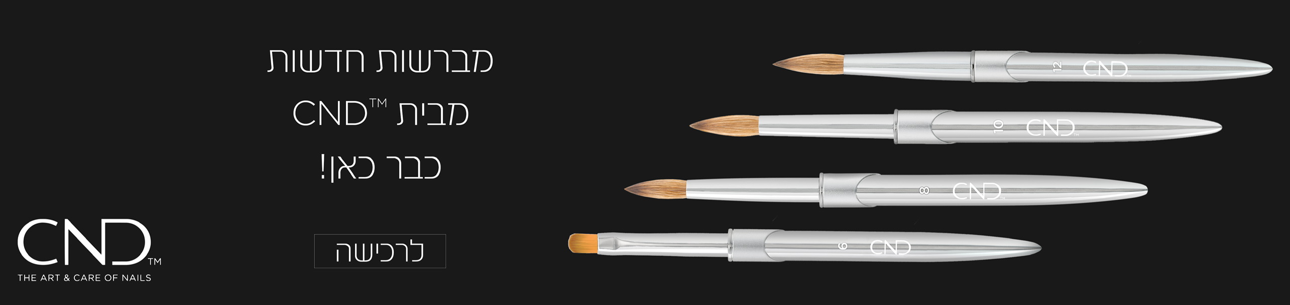 brushes